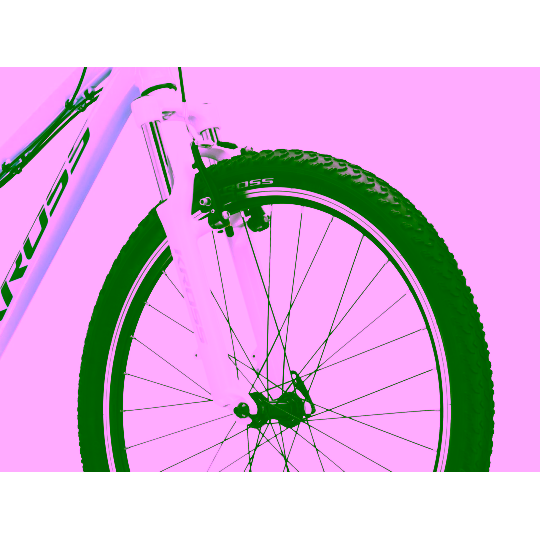 Rower górski Kross Lea 1.0